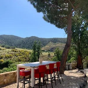 El Bufon De La Corte Bed and breakfast